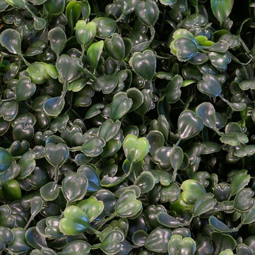 muros-verdes Jardines Verticales