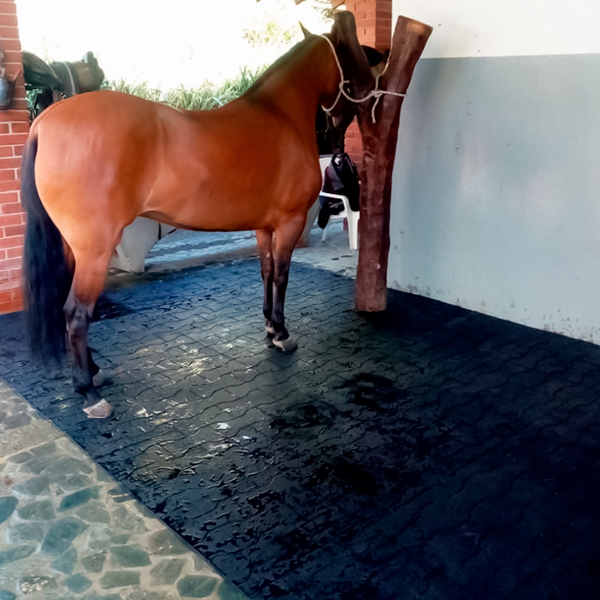 Piso Ecuestre de Hule para Caballeriza Negro